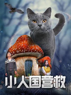 手机免费播放