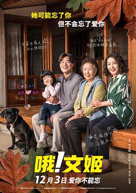全集免费观看超清
