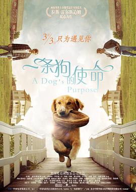 最近国语在线观看