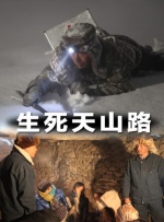 HD国语中字