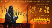 蓝光手机在线看